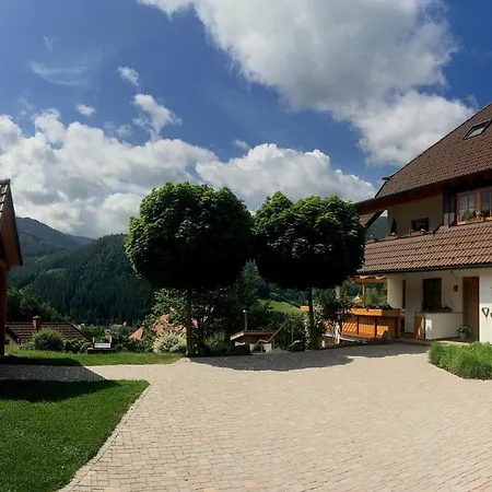 Sternenblick Trenklehof Schwarzwald Lejlighed Simonswald
