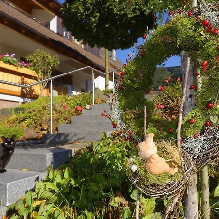 Sternenblick Trenklehof Schwarzwald