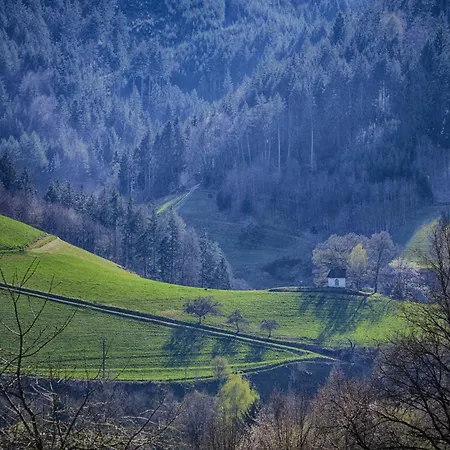 Sternenblick Trenklehof Schwarzwald Lejlighed *